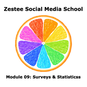 Zestee-SMS-Module-09